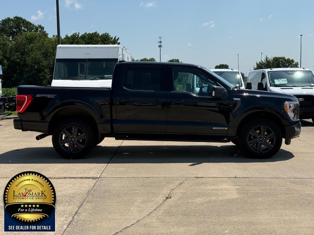 2023 Ford F-150 XLT 4WD SuperCrew 6.5' Box