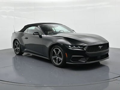 2024 Ford Mustang EcoBoost Premium