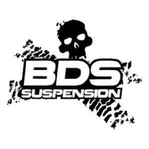 BDS logo